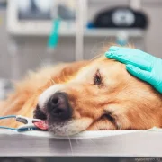 Клиника Вега фото 7 на сайте vYasenevo.ru