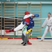 Школа боевых искусств Синтянь фото 18 на сайте vYasenevo.ru