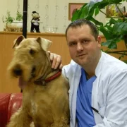 Ветеринарная клиника Мос Вет 24 фото 6 на сайте vYasenevo.ru