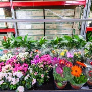 Магазин цветов Флора Юг фото 12 на сайте vYasenevo.ru