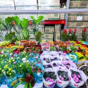 Магазин цветов Флора Юг фото 4 на сайте vYasenevo.ru