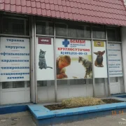 Ветеринарная клиника Бемби на Тарусской улице фото 4 на сайте vYasenevo.ru