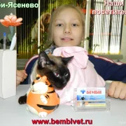 Ветеринарная клиника Бемби на Тарусской улице фото 7 на сайте vYasenevo.ru