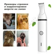 Интернет-магазин Sunny Pet фото 6 на сайте vYasenevo.ru