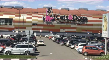 Зоомагазин Cats & Dogs  на сайте vYasenevo.ru